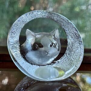 Vintage Clear Glass Cat Face Paperweight, Frosted Intaglio Kitty